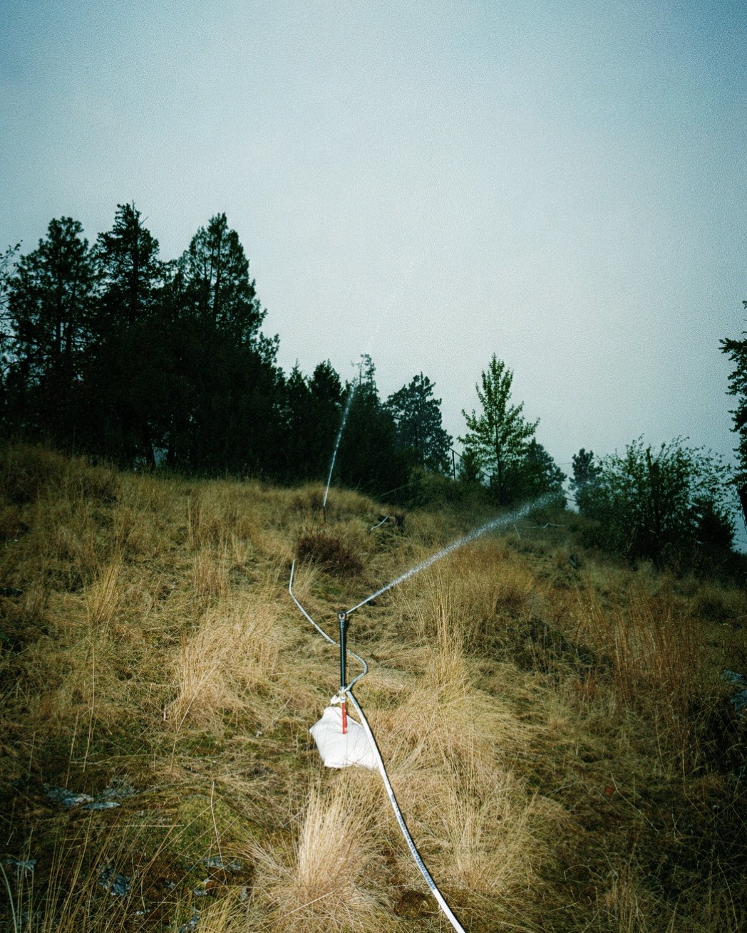 Ground-mounted wildfire sprinkler spraying across a dry grassy hillside